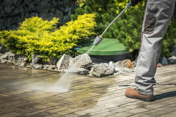 Best Dumpster Area Cleaning  in Brielle, NJ